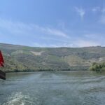 Porto: Douro Valley Tour w/ 3 Tastings, Lunch, & Opt. Cruise - The Travel Experience: Comfort, Group Size, and Timing