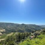Porto: Douro Valley Tour with 2 Wineries, Lunch and Cruise - An In-Depth Look at the Douro Valley Tour