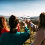 Porto: Douro Valley Tour with 2 Wineries, Lunch and Cruise - An In-Depth Look at the Douro Valley Tour