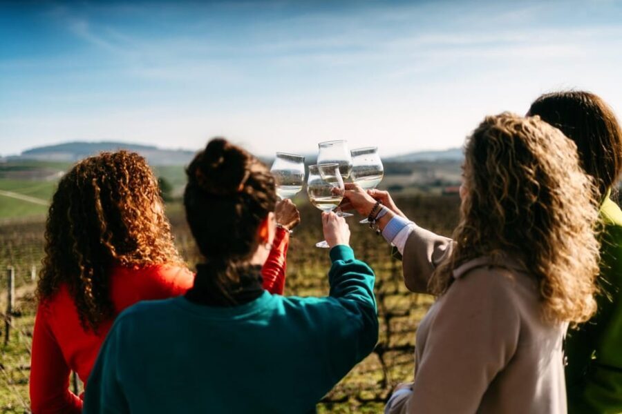 Porto: Douro Valley Tour with 2 Wineries, Lunch and Cruise - An In-Depth Look at the Douro Valley Tour