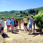 Porto: Douro Valley Vineyards Tour with Lunch & River Cruise - Authenticity and Value