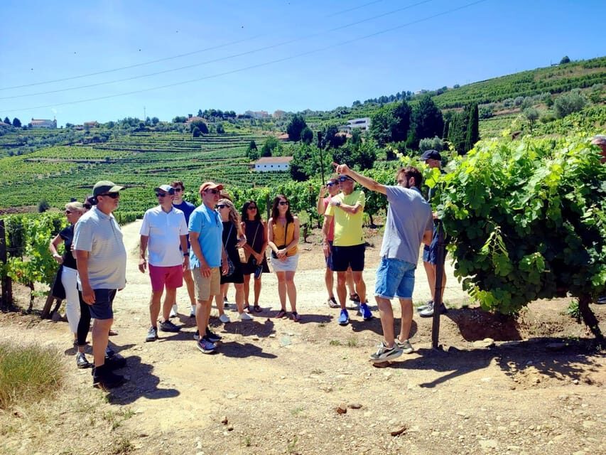 Porto: Douro Valley Vineyards Tour with Lunch & River Cruise - Authenticity and Value