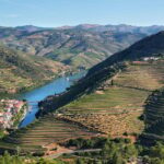 Porto: Douro Valley Wine Tour with a Sommelier & Boat Trip - A Deep Dive into the Douro Valley Wine Tour Experience