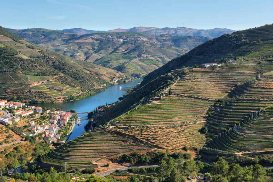Porto: Douro Valley Wine Tour with a Sommelier & Boat Trip - A Deep Dive into the Douro Valley Wine Tour Experience