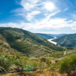 Porto: Douro Valley Wine Tour with Lunch, Tastings & Cruise - Practical Tips for Making the Most of the Tour
