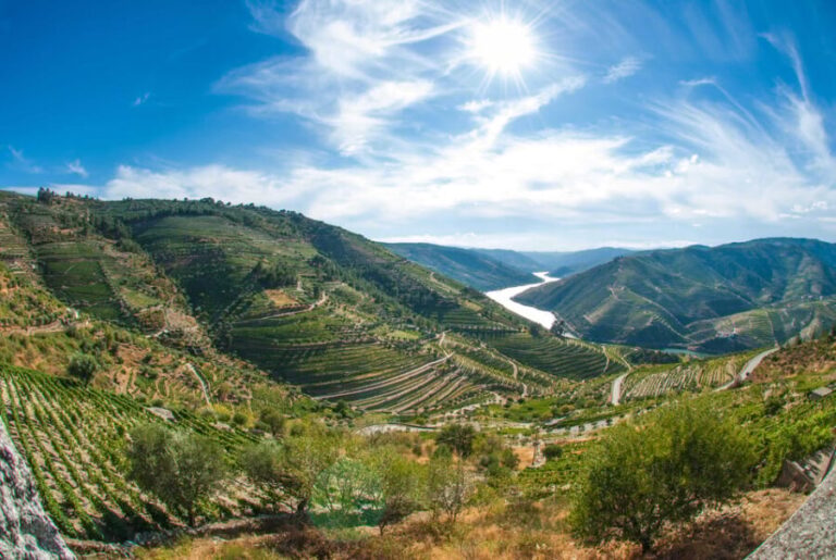Porto: Douro Valley Wine Tour with Lunch, Tastings & Cruise - Practical Tips for Making the Most of the Tour