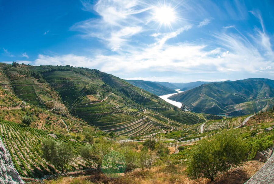 Porto: Douro Valley Wine Tour with Lunch, Tastings & Cruise - Practical Tips for Making the Most of the Tour