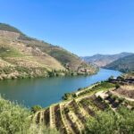 Porto: Douro Valley Wine Tour with Tastings, Boat, and Lunch - The Journey Begins: From Porto to the Douro Valley