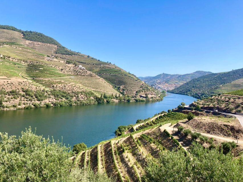 Porto: Douro Valley Wine Tour with Tastings, Boat, and Lunch - The Journey Begins: From Porto to the Douro Valley