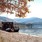 Porto: Douro Wine Tour with Lunch and River Cruise - The Real Value of the Douro Wine Tour