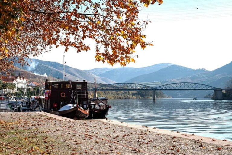Porto: Douro Wine Tour with Lunch and River Cruise - The Real Value of the Douro Wine Tour