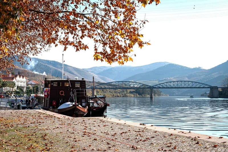 Porto: Douro Wine Tour with Lunch and River Cruise - The Real Value of the Douro Wine Tour