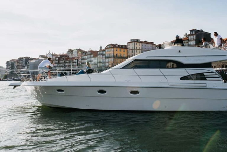 Porto: Full Day Douro River Cruise - 8h - What’s Included and What You Should Consider