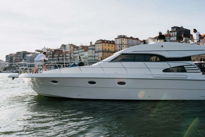 Porto: Full Day Douro River Cruise - 8h - What’s Included and What You Should Consider