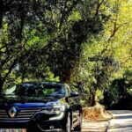 Porto Full Day Private Tour from Lisbon - The Unique Flavors: Port Wine Cellars and River Cruise