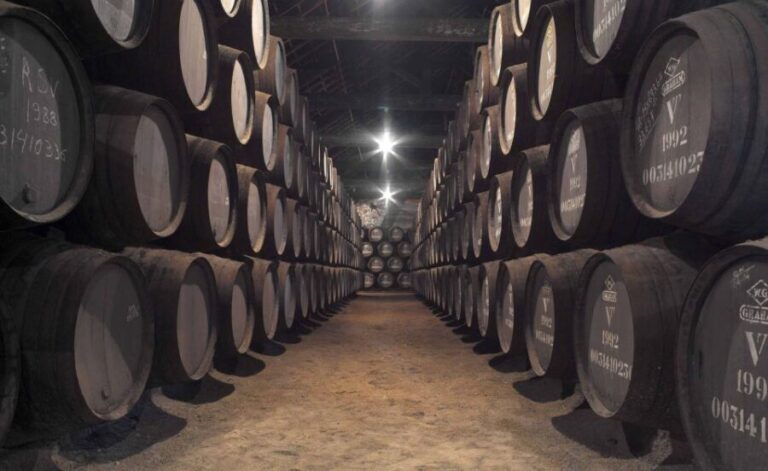 Porto: Graham's Port Lodge Tour with Premium Wine Tastings - An In-Depth Look at the Graham’s Port Lodge Experience