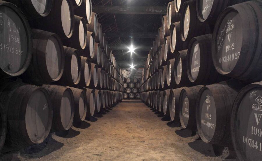 Porto: Graham's Port Lodge Tour with Premium Wine Tastings - An In-Depth Look at the Graham’s Port Lodge Experience