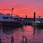 Porto: Guide Boat tour with tasting of 4 Port wines - Who Should Consider This Tour?