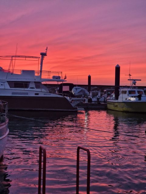Porto: Guide Boat tour with tasting of 4 Port wines - Who Should Consider This Tour?