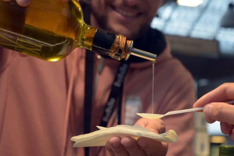 Porto: guided gastronomic tour of the Bolhão Market with tastings - Who Would Enjoy This Tour?