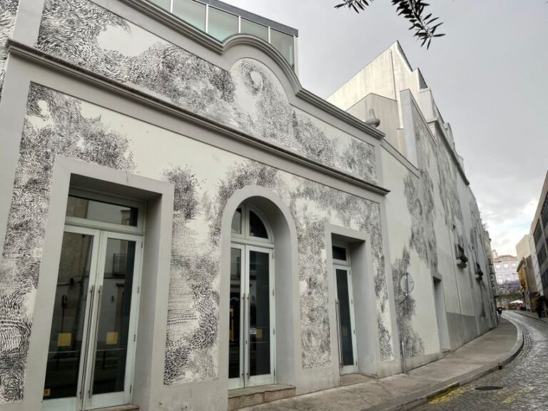 Porto: Half-Day Street Art Tour - What to Expect During the Tour