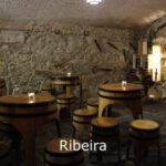 Porto: Live Fado Show with Glass of Port Wine - Why This Tour is Worth It