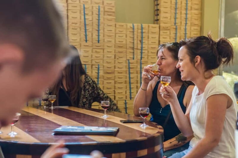 Porto: Magic Train Tour and Port Wine Cellar with Tastings - What We Love About This Tour