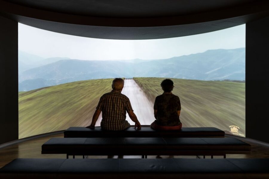 Porto: Museum of the Oldest Appellation in the World Ticket - What Travelers Say