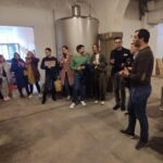 Porto: Port and Douro Wine Walking Tour with Tastings - Who Should Consider This Tour?
