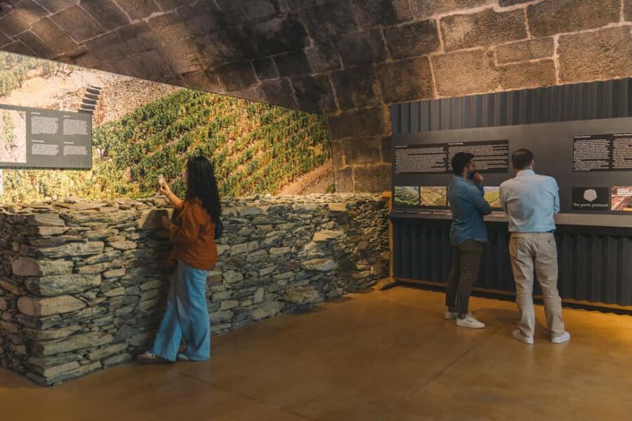 Porto: Port Cellar Visit and Wine Tasting at Fonseca - Why This Tour Works Well