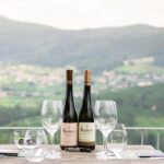 Porto: Private Green Wine Tour: Visit 2 Wine Estates & Lunch - Who Will Love This Tour?