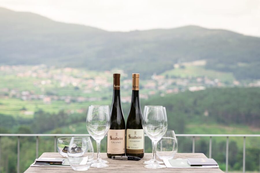 Porto: Private Green Wine Tour: Visit 2 Wine Estates & Lunch - Who Will Love This Tour?
