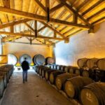 Porto: Private tour in Bairrada - From wine to suckling pig with tradition. - What Makes This Tour Stand Out