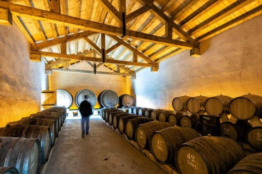 Porto: Private tour in Bairrada - From wine to suckling pig with tradition. - What Makes This Tour Stand Out