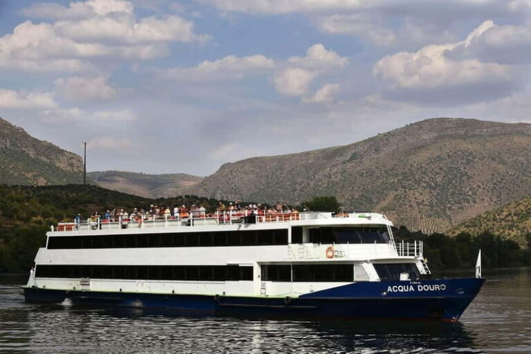 Porto: Régua Cruise with Train Ride and Wine Tasting - What to Expect and Practical Tips