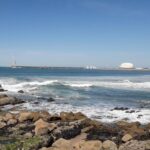 Porto Riverbank Tour on an e-bike: Atlantic Coast, Gardens - Who Is This Tour Best For?