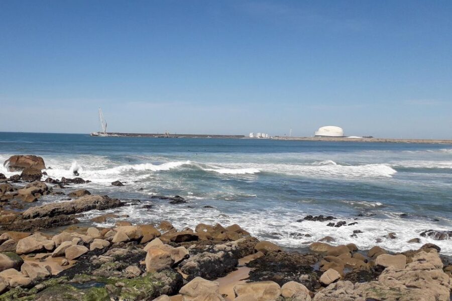 Porto Riverbank Tour on an e-bike: Atlantic Coast, Gardens - Who Is This Tour Best For?