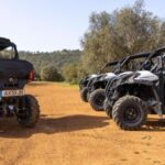 Porto Santo: 180 Minutes Off-Road Buggy Tour - A Detailed Look at the Porto Santo Off-Road Buggy Tour