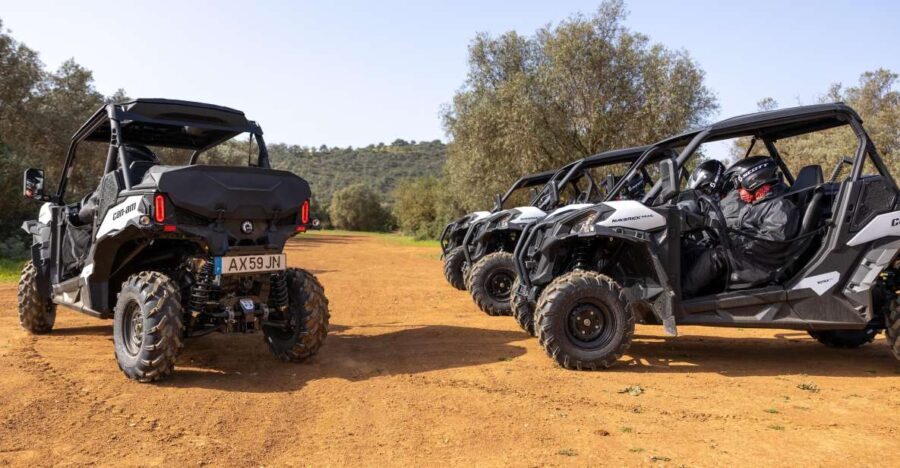 Porto Santo: 180 Minutes Off-Road Buggy Tour - A Detailed Look at the Porto Santo Off-Road Buggy Tour