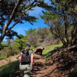 Porto Santo Island: Pico do Facho Panoramic Trail - What to Expect During the Hike