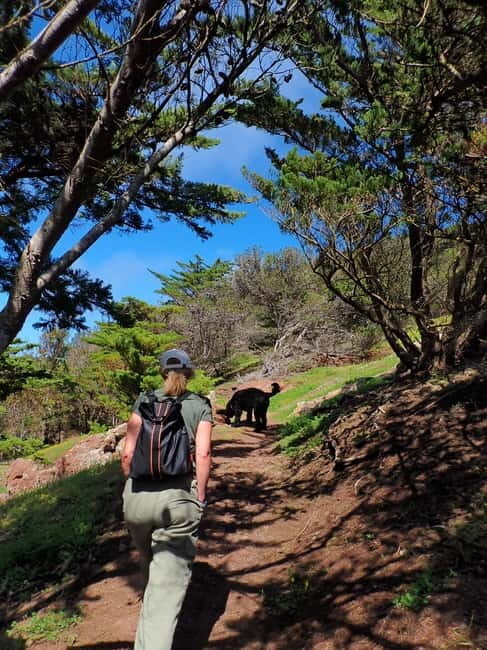 Porto Santo Island: Pico do Facho Panoramic Trail - What to Expect During the Hike