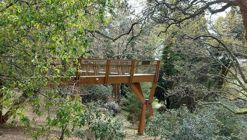 Porto: Serralves Gardens Art and Architecture Walking Tour - Final Thoughts