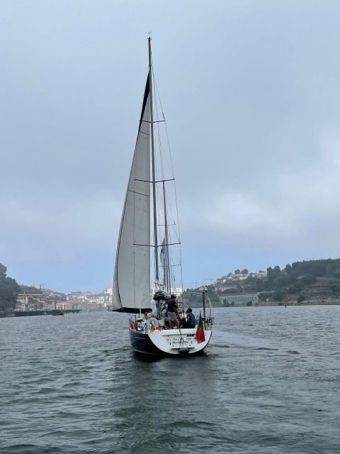 Porto: The Best Douro Boat Tour - Who Will Love This Tour?