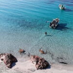 Porto-Vecchio: beginner diving in the Cerbicale Islands in the reserve - Final Thoughts