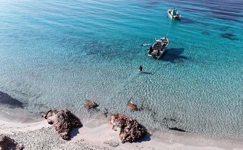 Porto-Vecchio: beginner diving in the Cerbicale Islands in the reserve - Final Thoughts