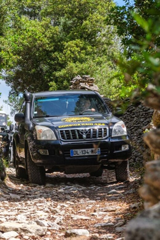 Porto Vecchio: Cuscionu Plateau & Alta Rocca 4x4 Tour - Why This Tour Stands Out