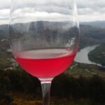 Porto: Wine Tasting Class with 4 Wines in Portus Wine - Why This Tour Stands Out