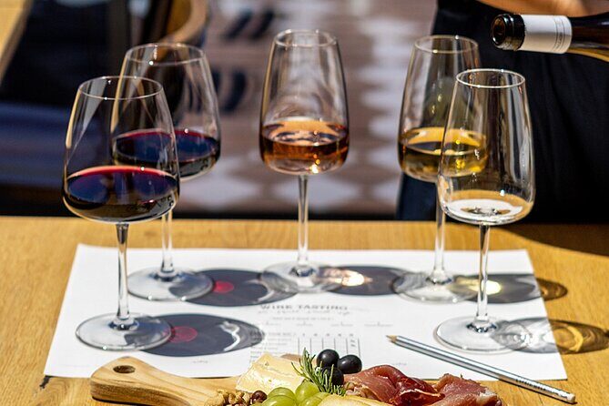 Porto Wine Tasting Experience with Portuguese Tapas Plate - The Guide and Tour Experience