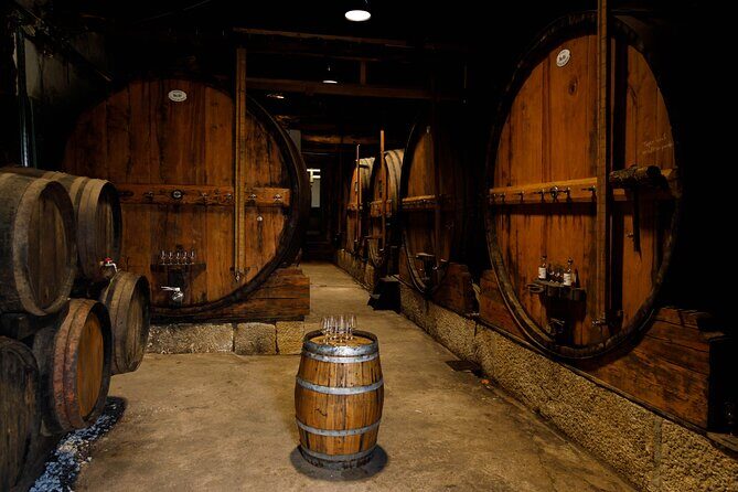 Porto Wine Tasting with GUIDED TOUR - The Sum Up: Who Should Consider This Tour?
