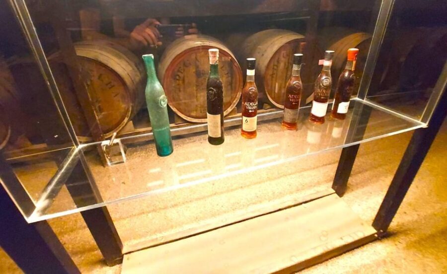 Porto: Wine Tastings (Green Wine) & Tradicional Lunch - An in-depth look at what you’ll experience